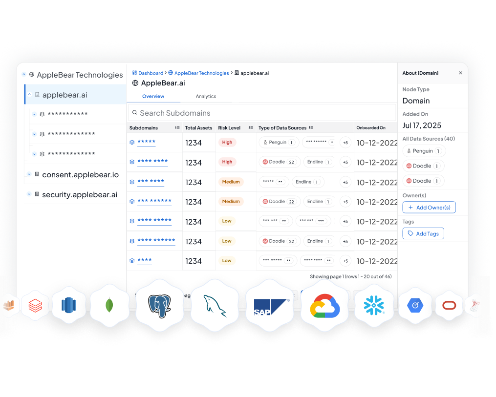Classifying Data Assets